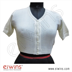 <p>V-Neck Blouse</p>